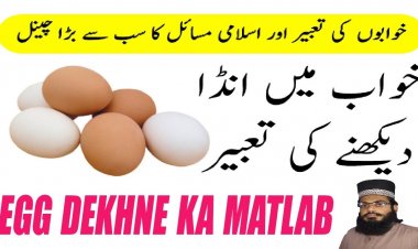 What Are A Wrongful Termination Lawyer And Why Do I Need One