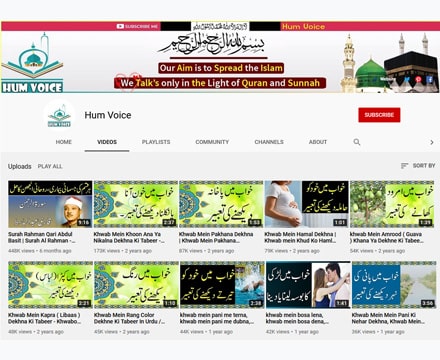 Hum Voice